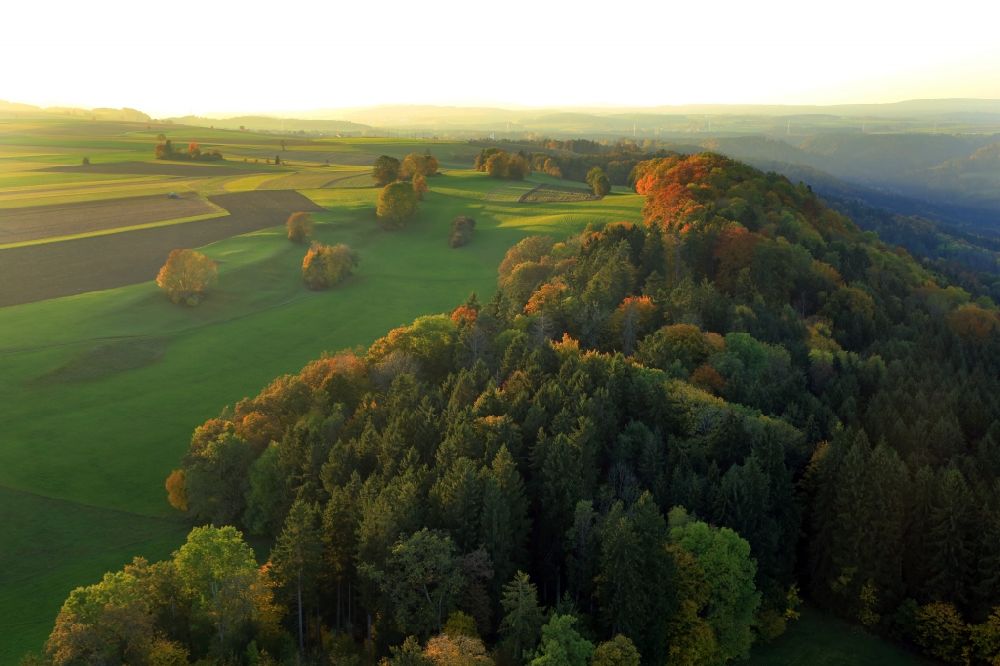 Luftbild Blumberg - Laubbaum- Baumspitzen in einem Waldgebiet in der Abendsonne im Ortsteil Überachen in Blumberg im Bundesland Baden-Württemberg, Deutschland