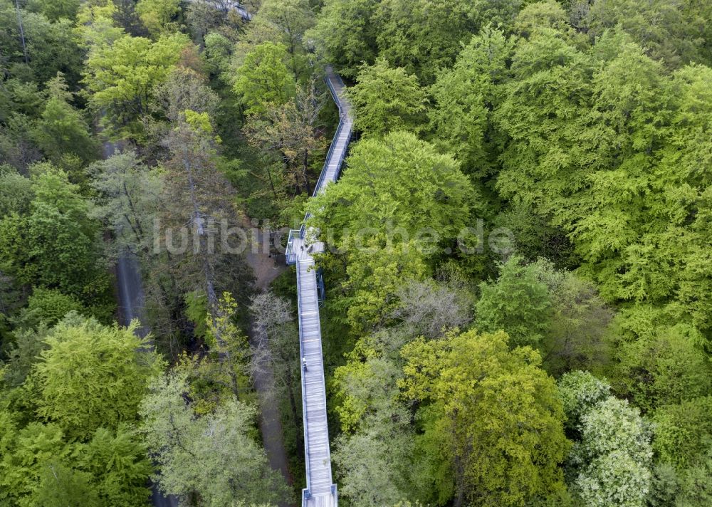 Luftbild Bad Harzburg - Laubbaum- Baumspitzen in einem Waldgebiet am Baumwipfelpfad in Bad Harzburg im Bundesland Niedersachsen, Deutschland