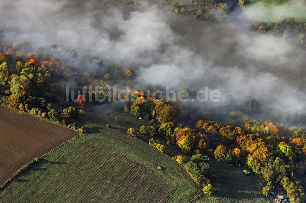 Luftaufnahme Pentling - Laubbaum- Baumspitzen in einem Waldgebiet bei aufsteigendem Nebel und Wolken in Pentling im Bundesland Bayern, Deutschland