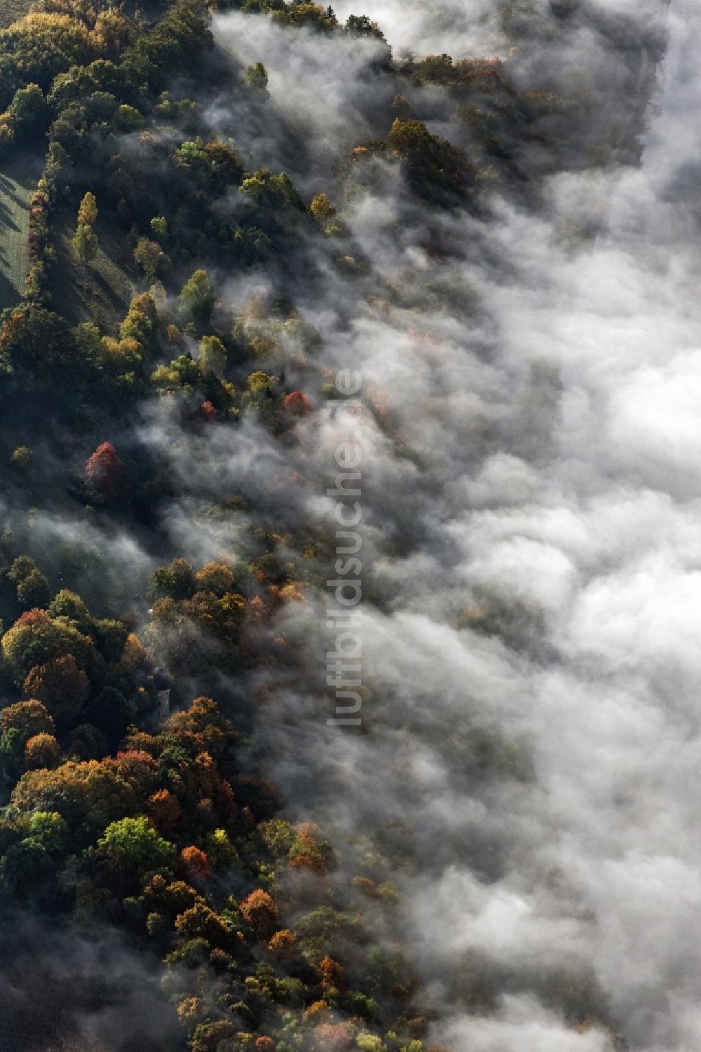 Pentling aus der Vogelperspektive: Laubbaum- Baumspitzen in einem Waldgebiet bei aufsteigendem Nebel und Wolken in Pentling im Bundesland Bayern, Deutschland