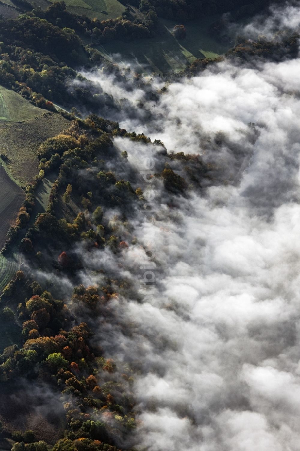 Luftbild Pentling - Laubbaum- Baumspitzen in einem Waldgebiet bei aufsteigendem Nebel und Wolken in Pentling im Bundesland Bayern, Deutschland