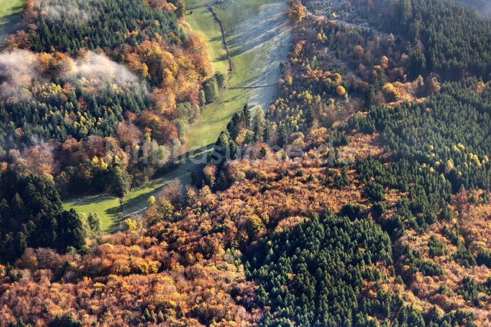 Bad Wildungen von oben - Laubbaum- Baumspitzen in einem Waldgebiet mit eine Lichtung und Raureif auf der Wiese in Bad Wildungen im Bundesland Hessen, Deutschland