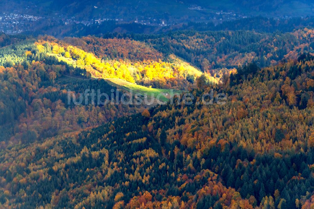 Luftaufnahme Friesenheim - Laubbaum- Baumspitzen in einem Waldgebiet im Schwarzwald Sonnenbestrahlt in Friesenheim im Bundesland Baden-Württemberg, Deutschland