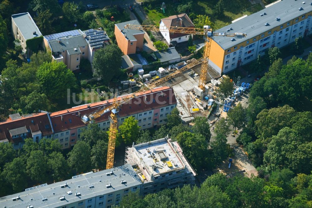 Luftaufnahme Berlin - Lückenbebauung entlang der Mehrfamilienhaus- Wohnhaus- Siedlung Friedlander Straße im Ortsteil Adlershof in Berlin, Deutschland
