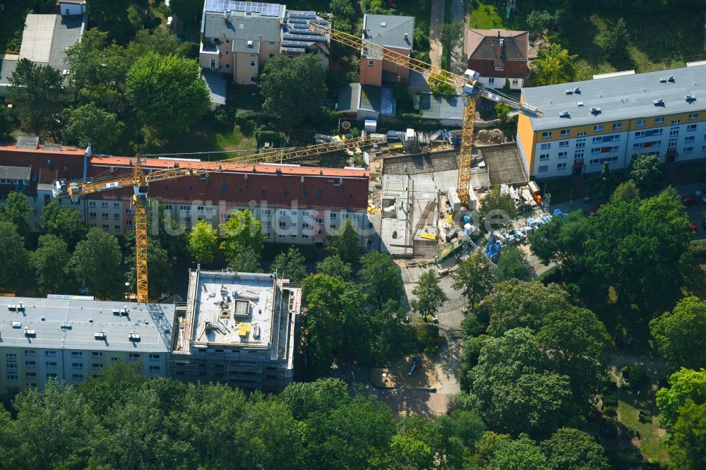 Berlin von oben - Lückenbebauung entlang der Mehrfamilienhaus- Wohnhaus- Siedlung Friedlander Straße im Ortsteil Adlershof in Berlin, Deutschland