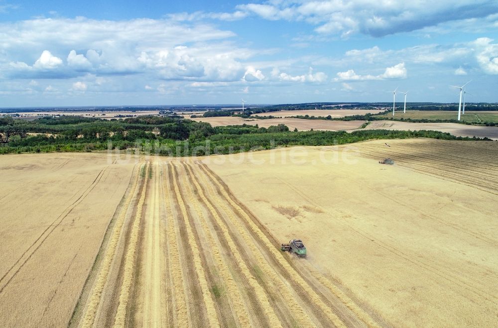 Mallnow aus der Vogelperspektive: Linienförmige Schwade -Strukturen auf einem Getreidefeld in Mallnow im Bundesland Brandenburg, Deutschland