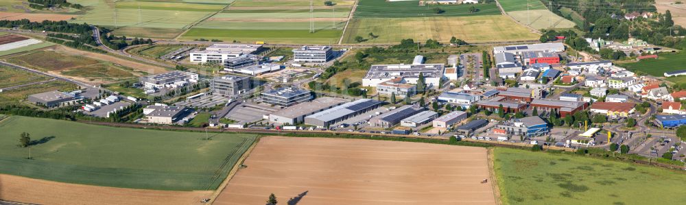Rülzheim von oben - Ländliches Industrie- und Gewerbegebiet in Rülzheim im Bundesland Rheinland-Pfalz, Deutschland