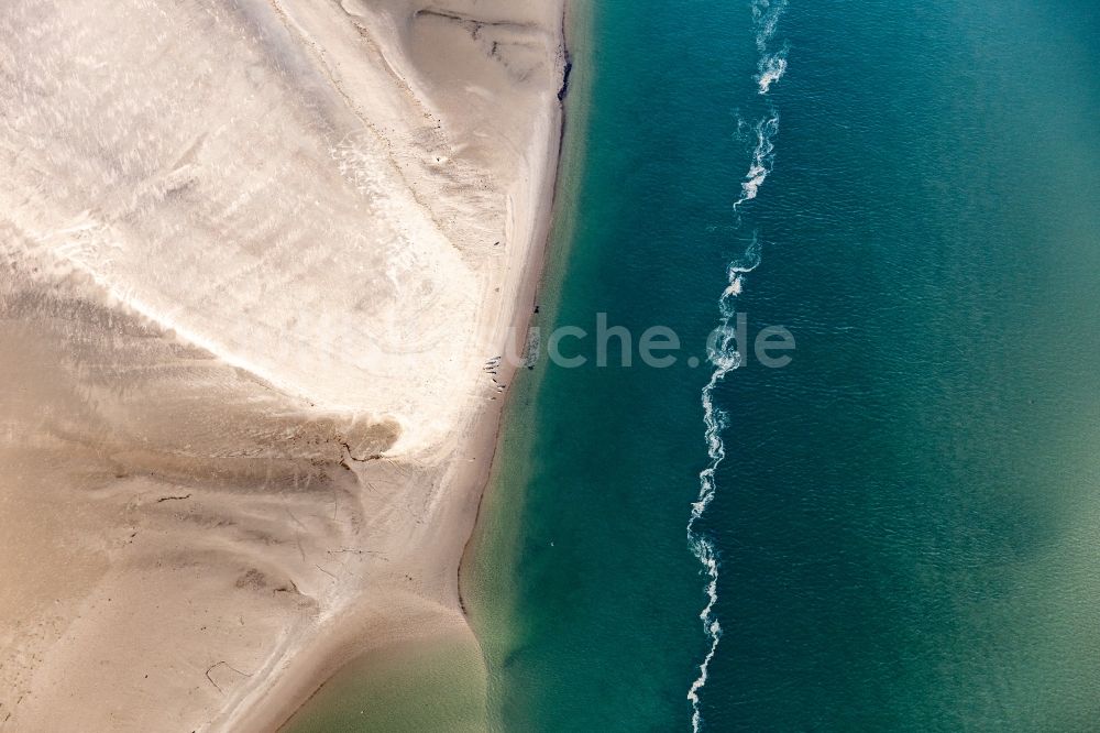 Luftbild Fanö - Mähnenrobben und Seehunde am Priel zur Sandbank Peter Meyers im Süden der Nordseeinsel Fanö in Region Syddanmark, Dänemark