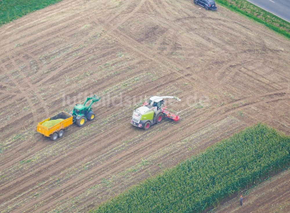 Luftbild Adelebsen - Mais- Ernte in einem Landwirtschaftsbetrieb in Adelebsen im Bundesland Niedersachsen, Deutschland