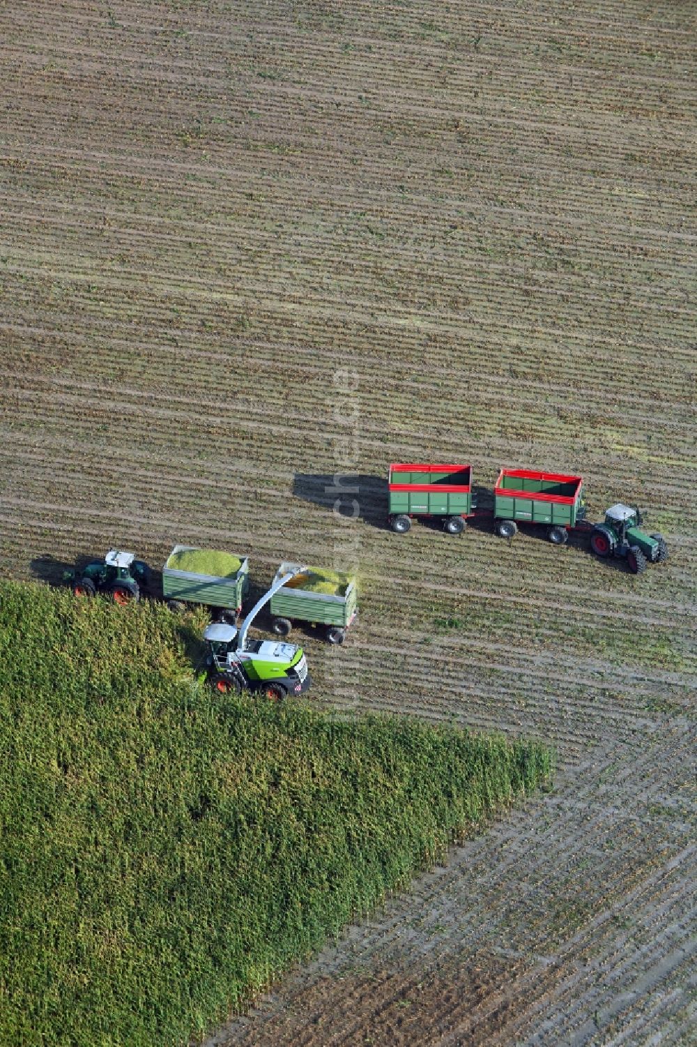Luftbild Döhren - Mais- Ernte in einem Landwirtschaftsbetrieb in Döhren im Bundesland Sachsen-Anhalt, Deutschland