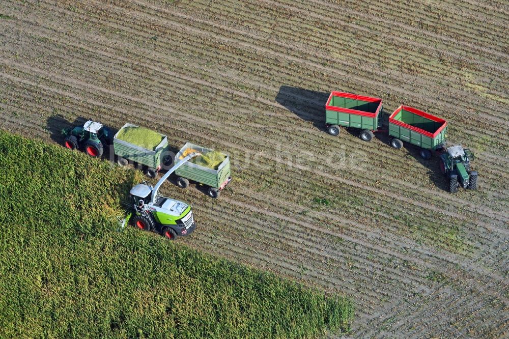 Luftaufnahme Döhren - Mais- Ernte in einem Landwirtschaftsbetrieb in Döhren im Bundesland Sachsen-Anhalt, Deutschland
