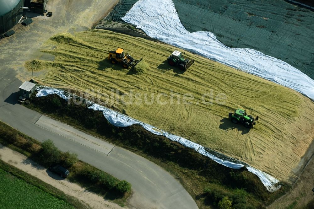 Luftbild Edemissen - Mais- Ernte in einem Landwirtschaftsbetrieb in Edemissen im Bundesland Niedersachsen