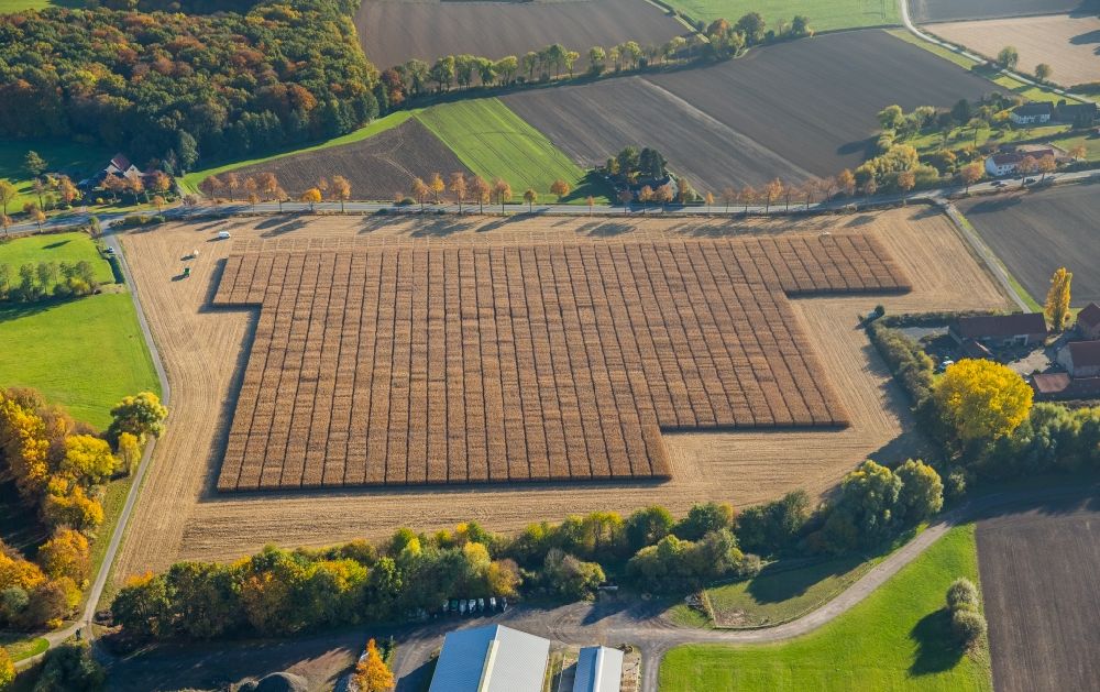 Hamm aus der Vogelperspektive: Mais- Ernte in einem Landwirtschaftsbetrieb in Hamm im Bundesland Nordrhein-Westfalen