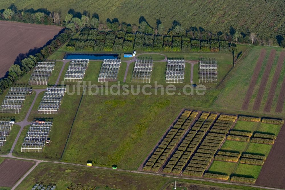 Teutschenthal aus der Vogelperspektive: Mais- Ernte in einem Landwirtschaftsbetrieb in Teutschenthal im Bundesland Sachsen-Anhalt, Deutschland