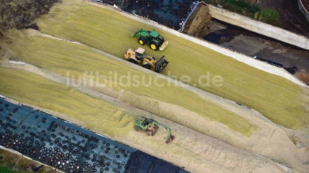 Luftbild Königswinter - Maisernte und Fahrsilo im Bundesland Nordrhein-Westfalen, Deutschland