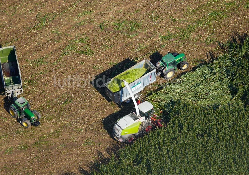 Rosdorf aus der Vogelperspektive: Maisernteeinsatz auf landwirtschaftlichen Feldern in Rosdorf im Bundesland Niedersachsen