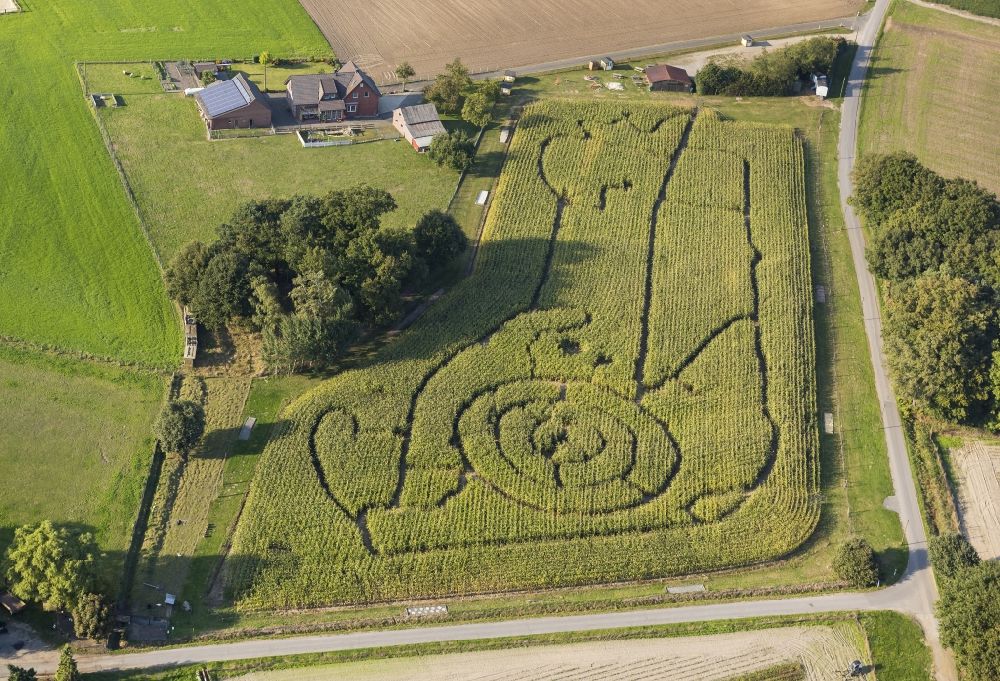 Luftaufnahme Schermbeck - Maislabyrinth bei der Bauernschaft Brackenberg Besten in Schermbeck in Nordrhein-Westfalen