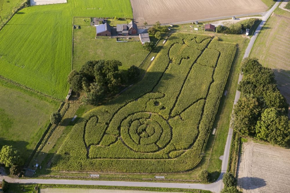Schermbeck aus der Vogelperspektive: Maislabyrinth bei der Bauernschaft Brackenberg Besten in Schermbeck in Nordrhein-Westfalen