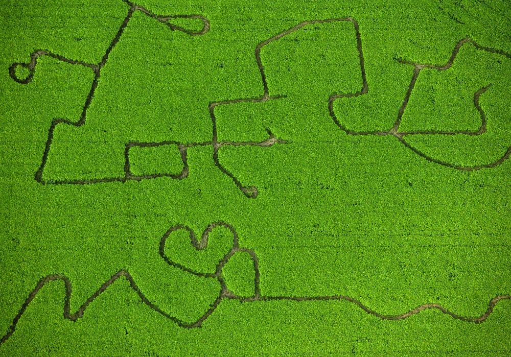 Luftbild Waltrop - Maislabyrinth mit Liebesbotschaft bei Waltrop im Bundesland Nordrhein-Westfalen