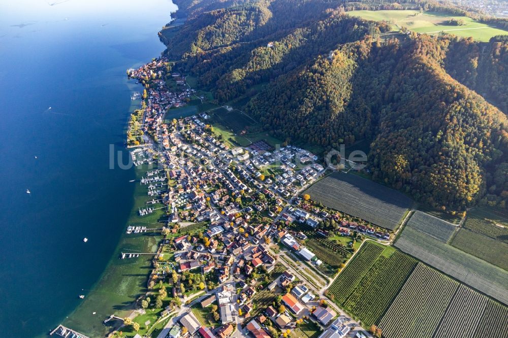 Luftbild Bodman - Marina - Hafenbereich am Ufer des Bodensee in Bodman im Bundesland Baden-Württemberg, Deutschland