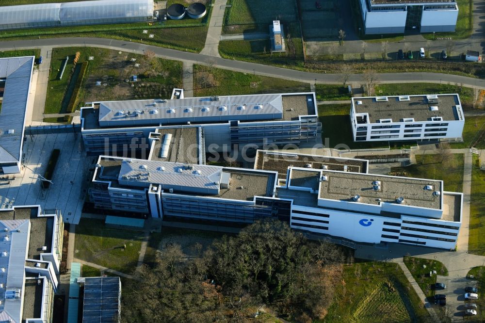 Potsdam von oben - Max - Planck - Institute in Potsdam . Golm im Bundesland Brandenburg