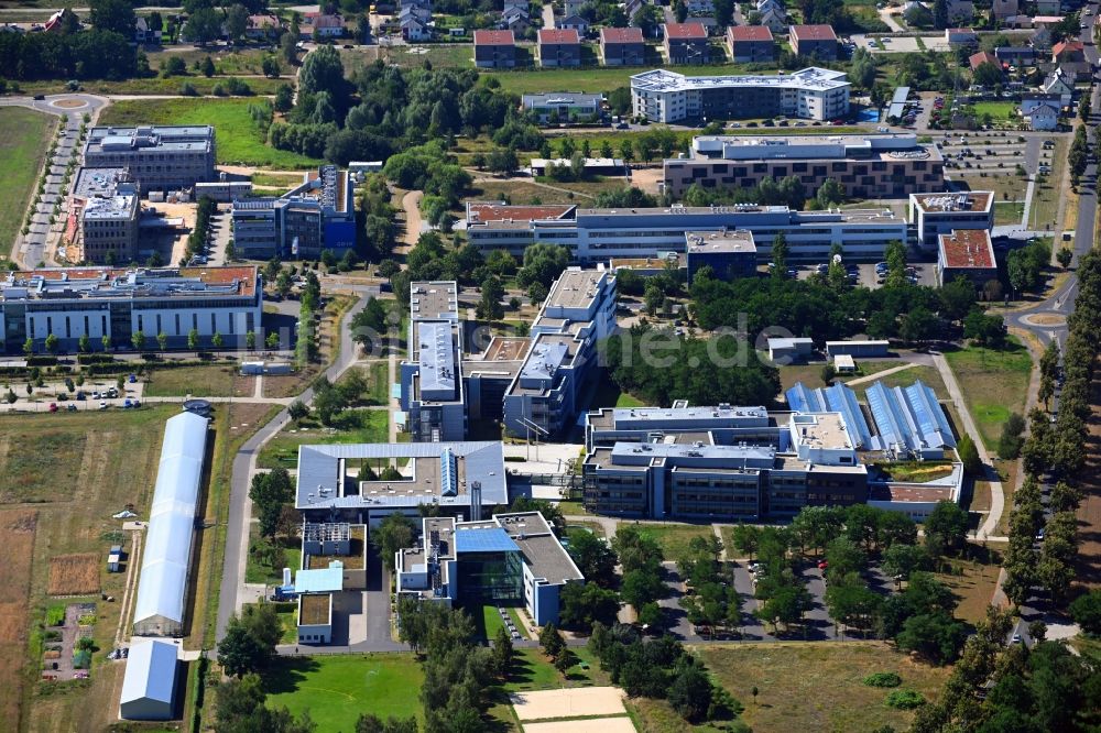 Luftbild Potsdam - Max - Planck - Institute in Potsdam . Golm im Bundesland Brandenburg