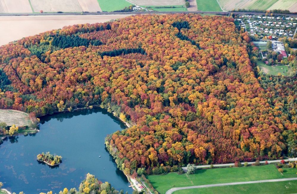 Weisweil aus der Vogelperspektive: Meer bunt gefärbter Blätter an den Baumspitzen in einem Laubbaum- Waldgebiet bei Weisweil im Bundesland Baden-Württemberg