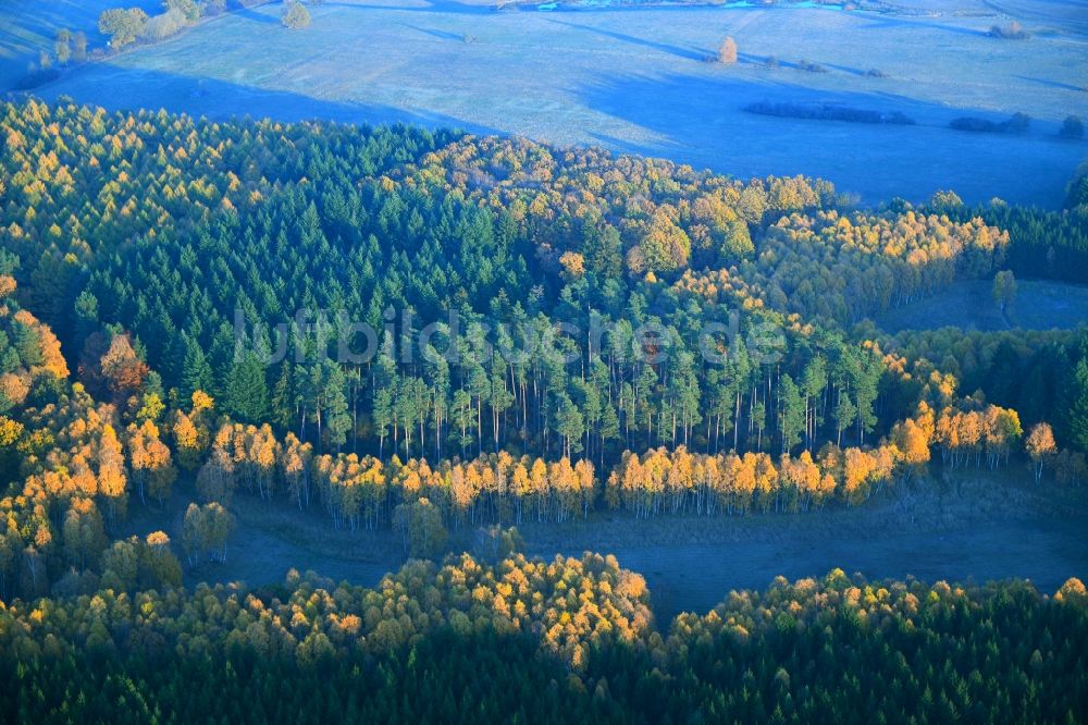 Feldberger Seenlandschaft von oben - Meer bunt gefärbter Blätter an den Baumspitzen in einem Waldgebiet in Feldberger Seenlandschaft im Bundesland Mecklenburg-Vorpommern, Deutschland