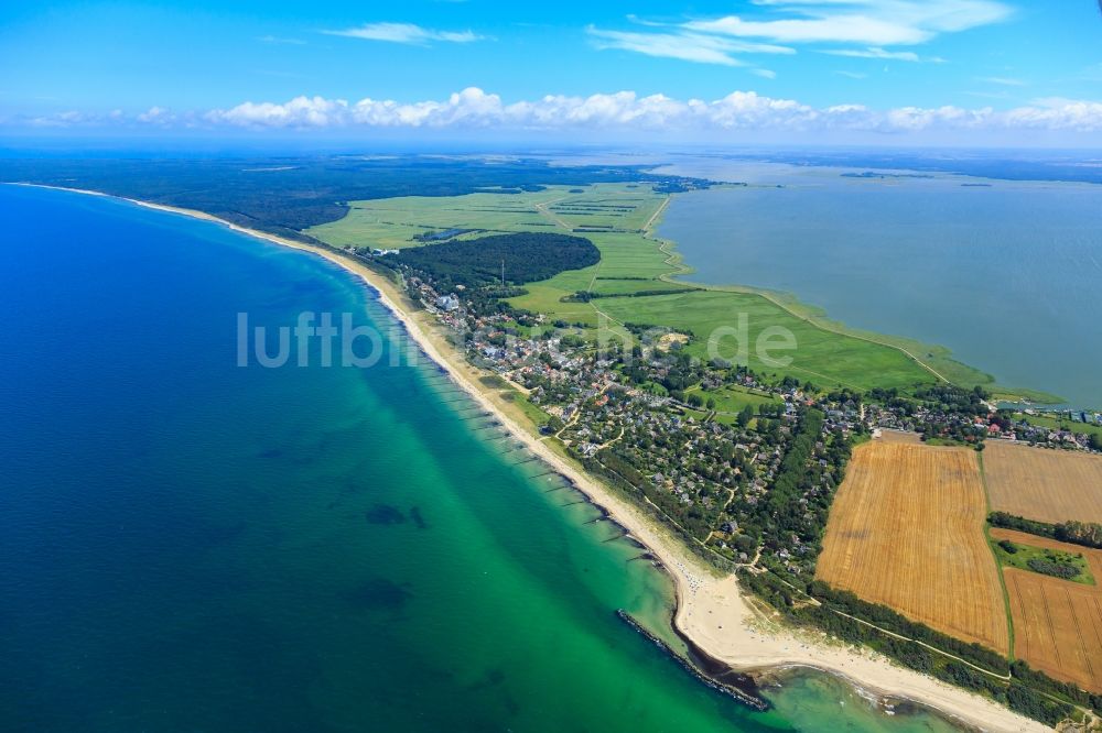 Ahrenshoop aus der Vogelperspektive: Meeres-Küste der Ostsee in Ahrenshoop im Bundesland Mecklenburg-Vorpommern, Deutschland