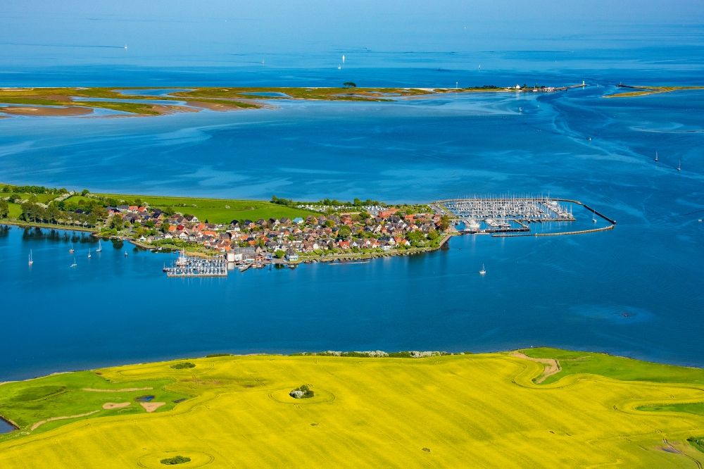 Maasholm aus der Vogelperspektive: Meeres-Küste der Ostsee Segelhäfen in Maasholm am Ufer der Schlei im Bundesland Schleswig-Holstein