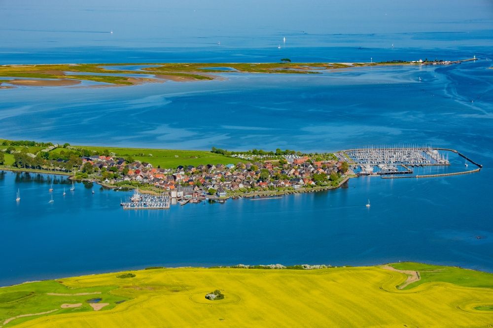 Luftbild Maasholm - Meeres-Küste der Ostsee Segelhäfen in Maasholm am Ufer der Schlei im Bundesland Schleswig-Holstein