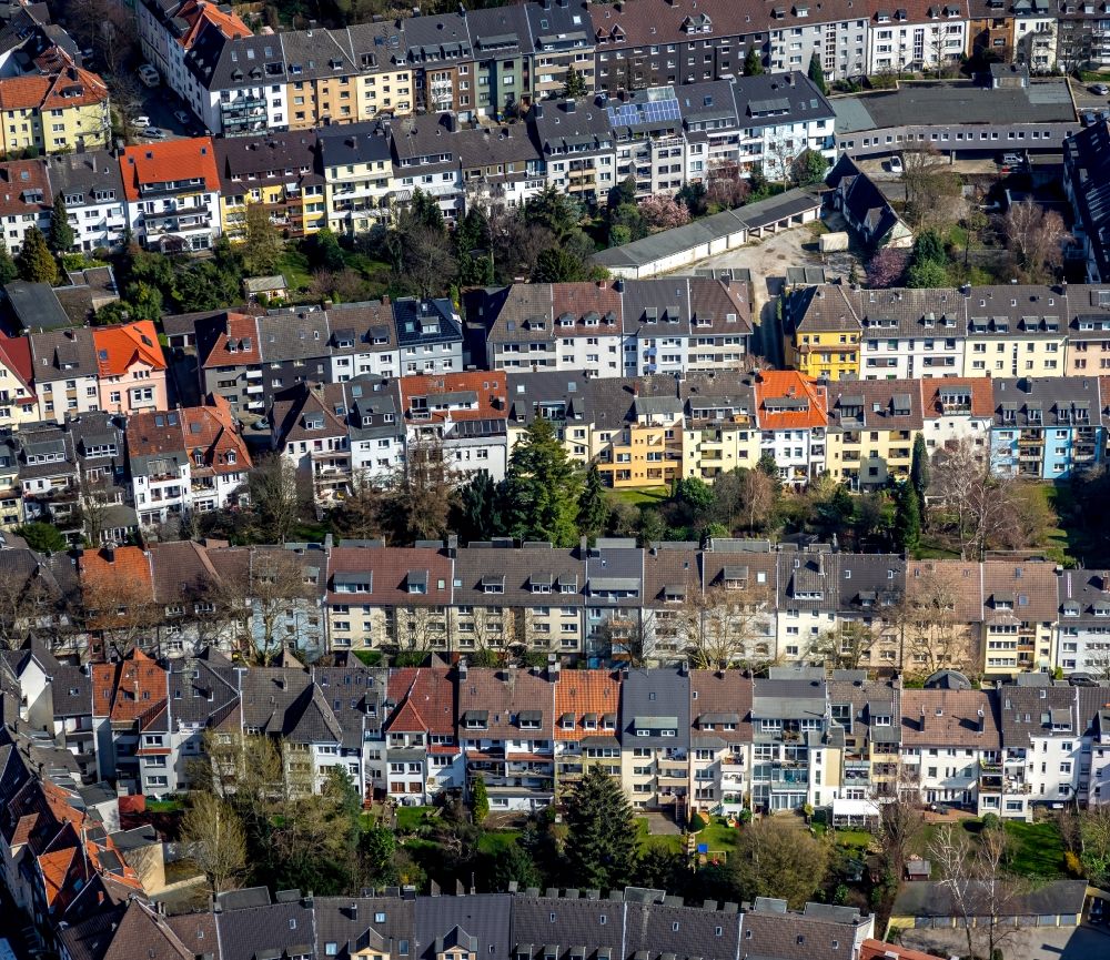 Luftaufnahme Essen - Mehrfamilienhaussiedlung Hufelandstraße, Billrothstraße, Chranachstraße im Ortsteil Holsterhausen in Essen im Bundesland Nordrhein-Westfalen, Deutschland