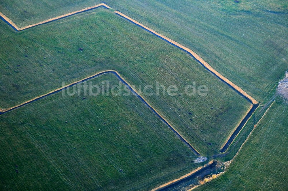 Tützpatz von oben - Melorationsgraben und Kanäle auf landwirtschaftlichen Feldern in Tützpatz im Bundesland Mecklenburg-Vorpommern, Deutschland