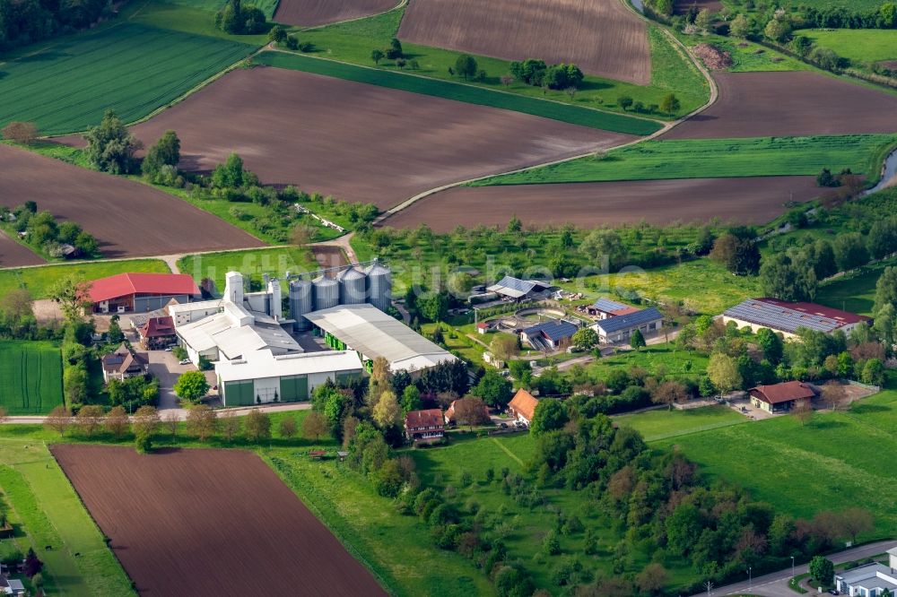 Luftaufnahme Weisweil - Mühle Südgetreide am Rand von bestellten Feldern in Weisweil im Bundesland Baden-Württemberg, Deutschland