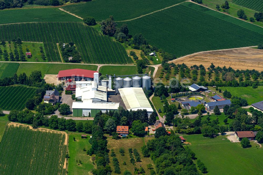 Weisweil aus der Vogelperspektive: Mühle Südgetreide am Rand von bestellten Feldern in Weisweil im Bundesland Baden-Württemberg, Deutschland