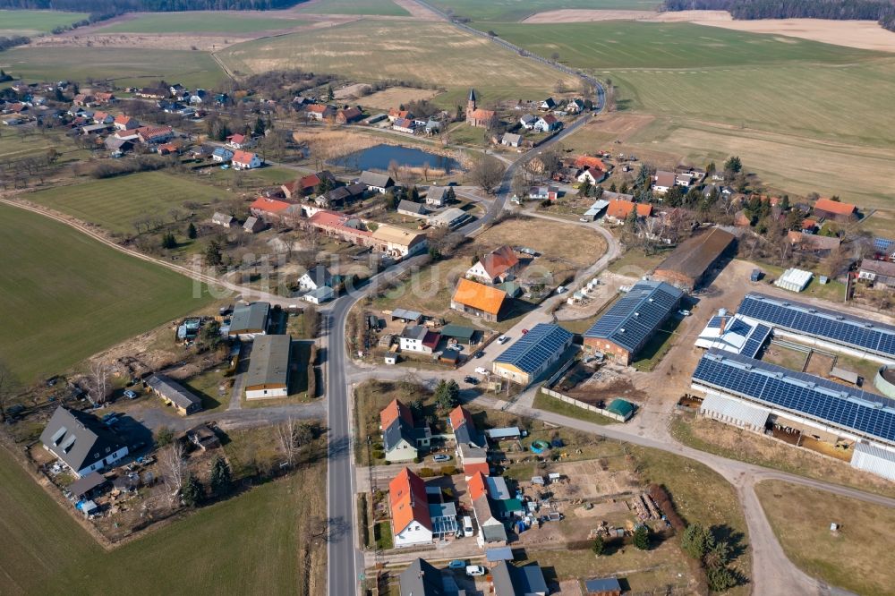 Luftbild Dannenberg - Milchviehanlage und Tierzucht- Stallanlagen mit Kühen in Dannenberg im Bundesland Brandenburg, Deutschland