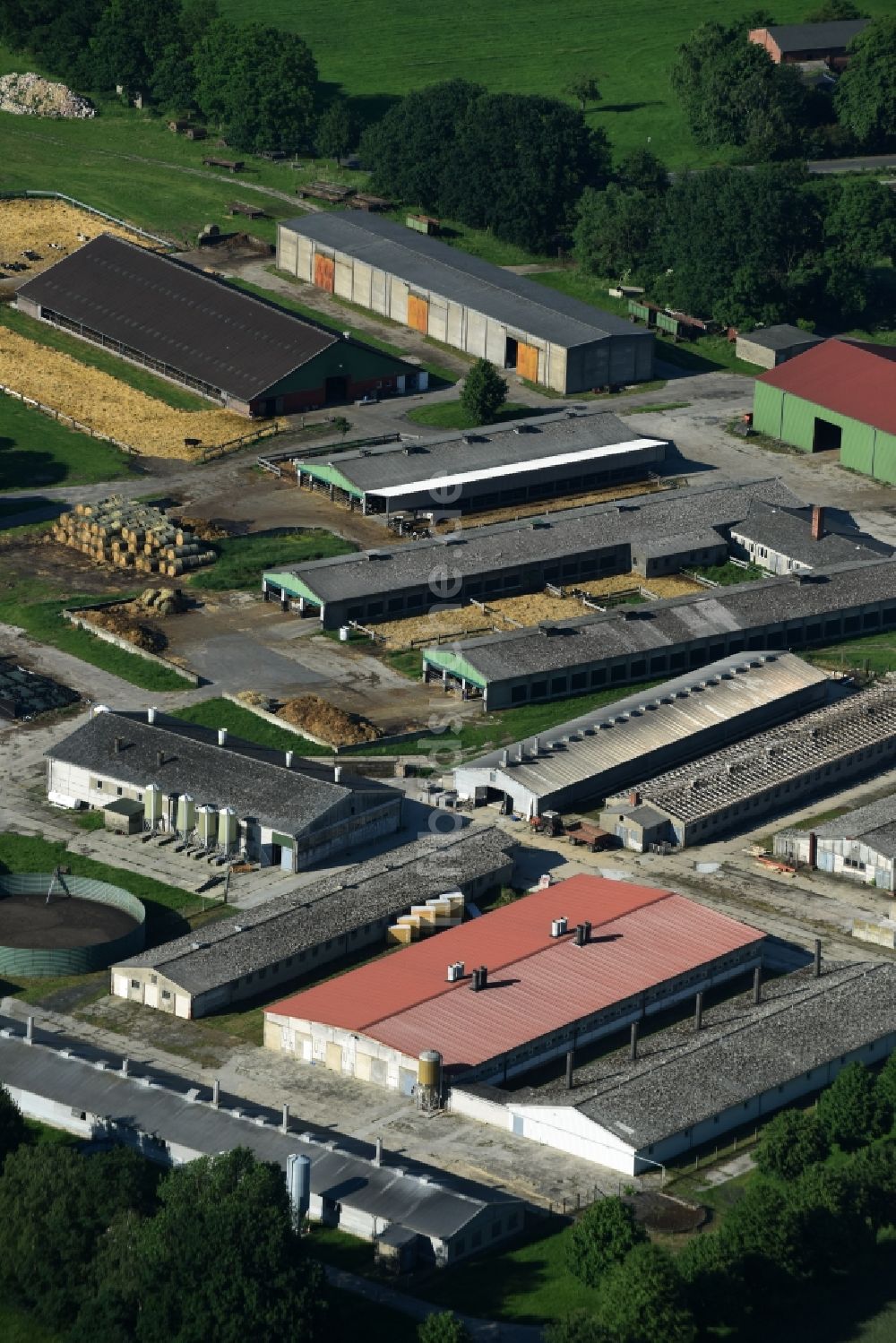 Grebs-Niendorf von oben - Milchviehanlage und Tierzucht- Stallanlagen mit Kühen in Grebs-Niendorf im Bundesland Mecklenburg-Vorpommern
