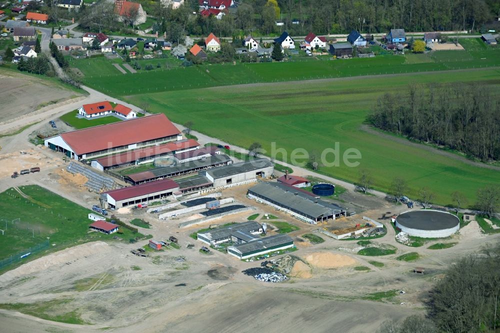 Luftaufnahme Menkin - Milchviehanlage und Tierzucht- Stallanlagen mit Kühen in Menkin im Bundesland Brandenburg, Deutschland