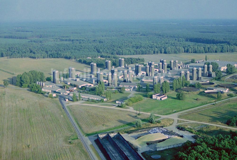 Luftaufnahme Wilhelmsburg - Milchviehanlage und Tierzucht- Stallanlagen mit Kühen in Wilhelmsburg im Bundesland Mecklenburg-Vorpommern, Deutschland