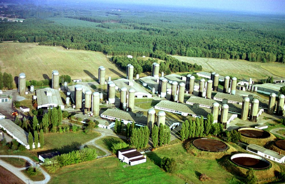 Luftbild Wilhelmsburg - Milchviehanlage und Tierzucht- Stallanlagen mit Kühen in Wilhelmsburg im Bundesland Mecklenburg-Vorpommern, Deutschland