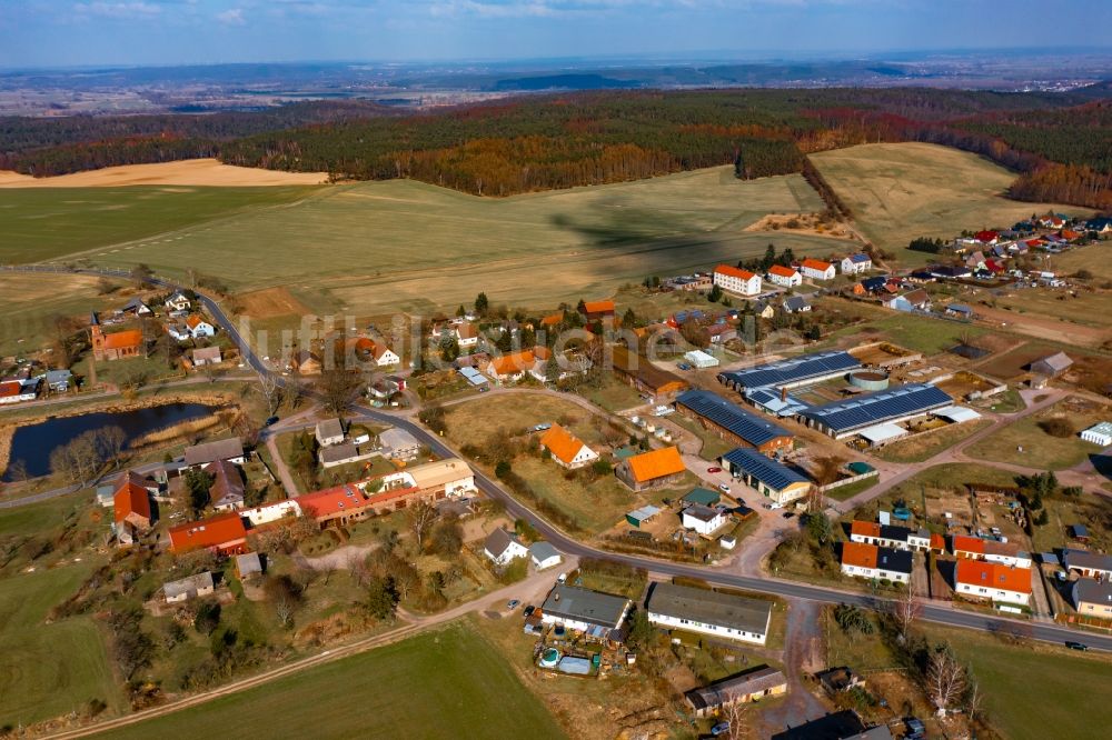 Luftaufnahme Dannenberg - Milchviehanlage und Tierzucht- Stallanlagen mit Kühen in Dannenberg im Bundesland Brandenburg, Deutschland
