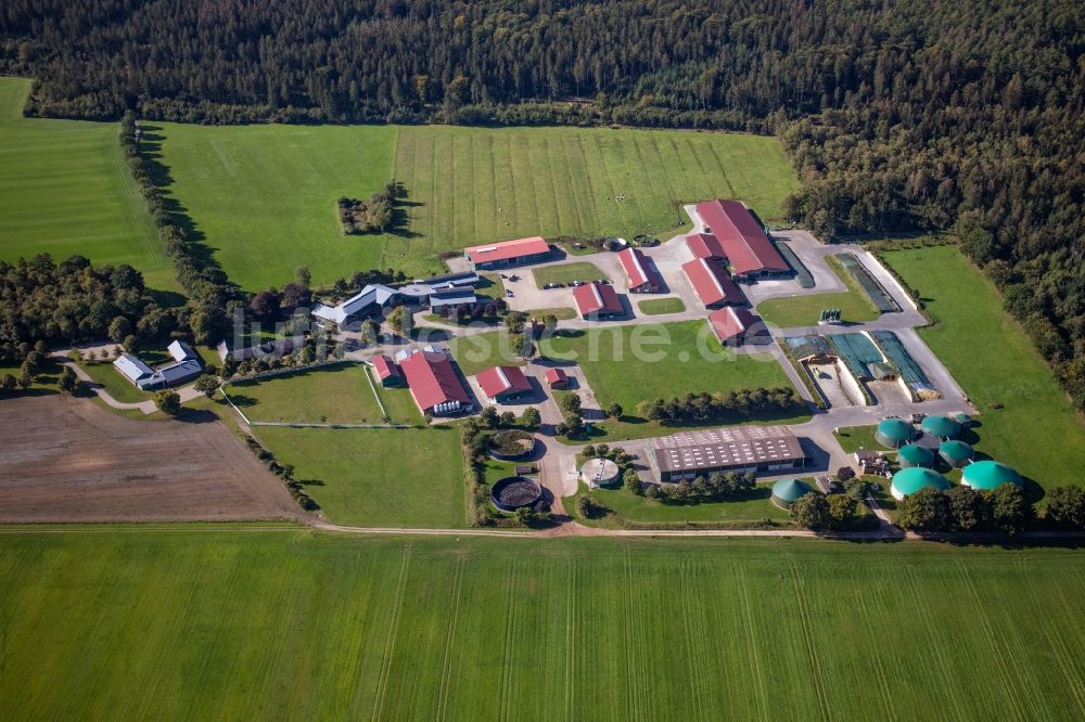 Wahlstedt von oben - Milchviehanlage und Tierzucht- Stallanlagen mit Kühen in Wahlstedt im Bundesland Schleswig-Holstein, Deutschland