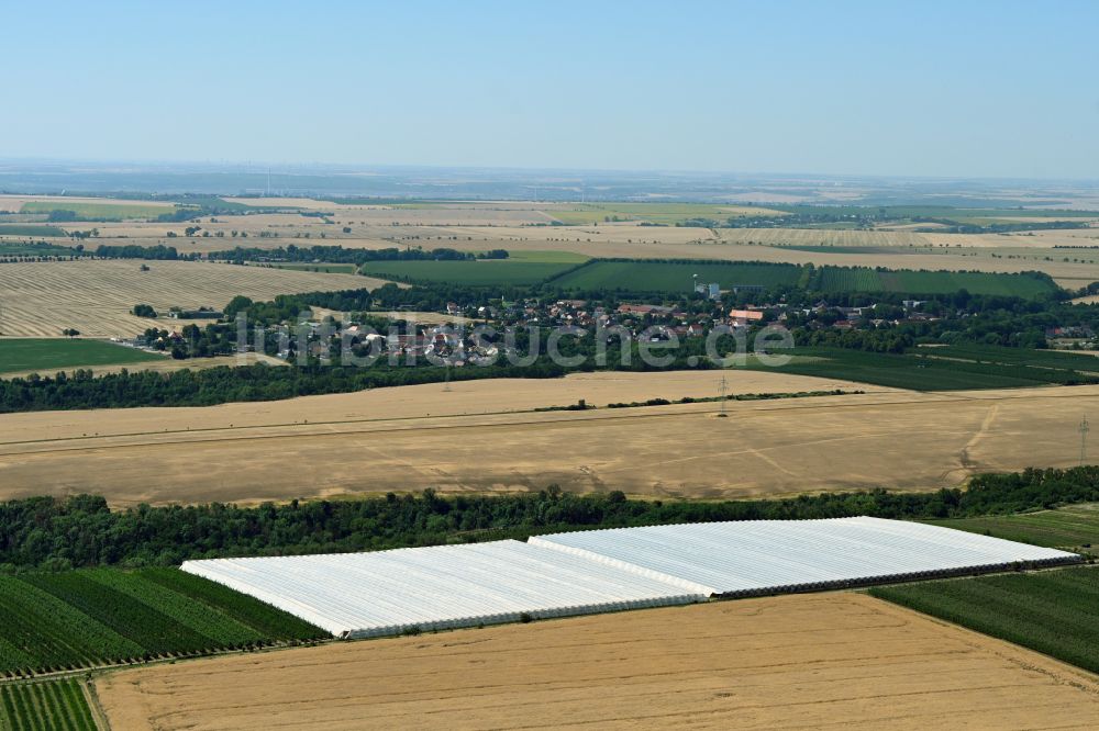 Luftbild Salzatal - Mit Folienzelten überdachte landwirtschaftliche Fläche im Salzatal im Bundesland Sachsen-Anhalt, Deutschland