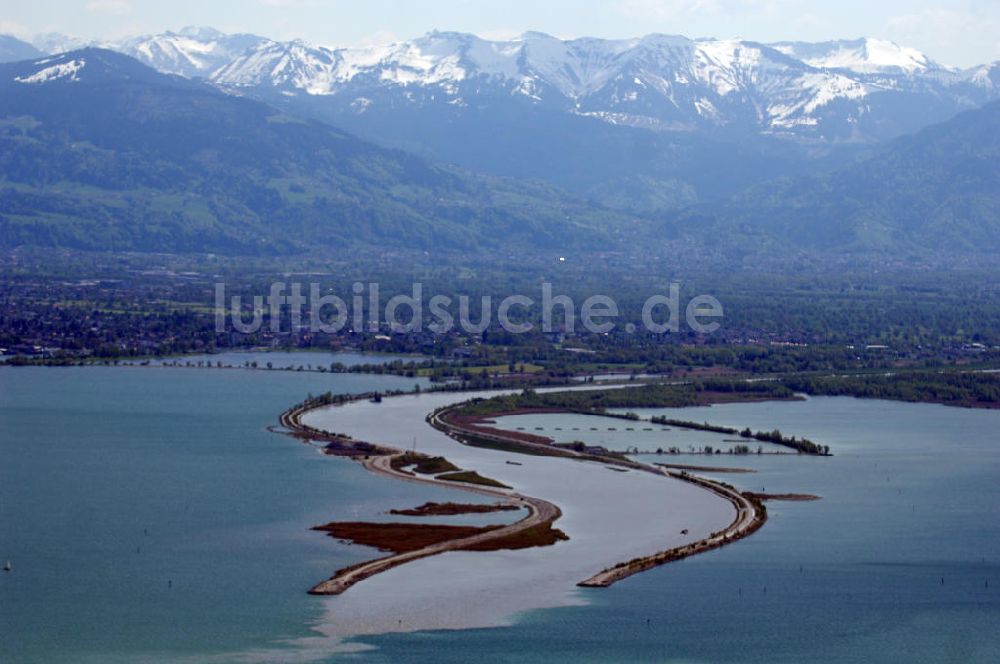 Luftaufnahme Hard - Mündung des Rheins in den Bodensee mit Blick auf die schneebedeckten Alpen bei Hard