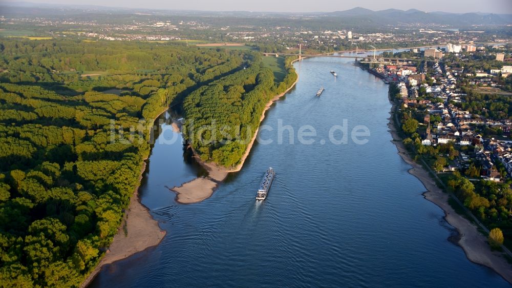 Niederkassel von oben - Mündung der Sieg in den Rhein bei Bonn im Bundesland Nordrhein-Westfalen, Deutschland