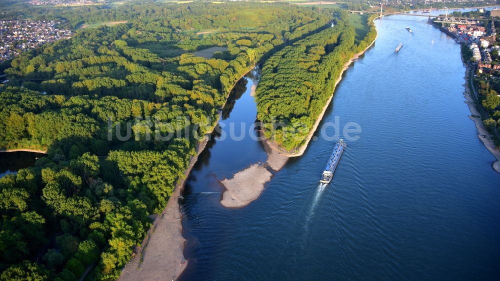 Luftbild Niederkassel - Mündung der Sieg in den Rhein bei Bonn im Bundesland Nordrhein-Westfalen, Deutschland