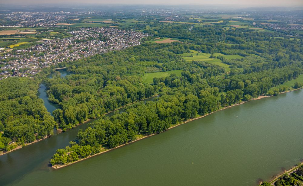 Niederkassel von oben - Mündung der Sieg in den Rhein bei Niedrigwasser in Niederkassel im Bundesland Nordrhein-Westfalen, Deutschland