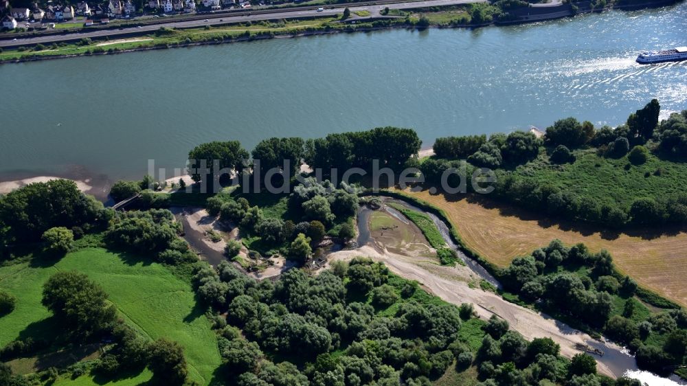 Luftbild Remagen - Mündungsbereich der Ahr in den Rhein im Bundesland Rheinland-Pfalz, Deutschland