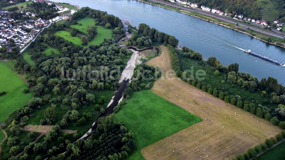 Luftaufnahme Remagen - Mündungsbereich der Ahr in den Rhein im Bundesland Rheinland-Pfalz, Deutschland