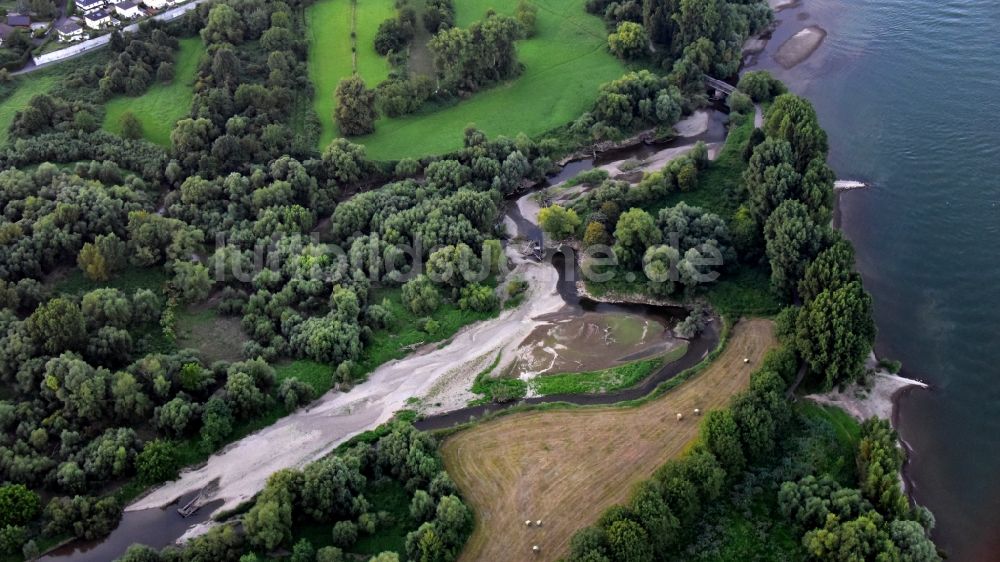 Remagen von oben - Mündungsbereich der Ahr in den Rhein im Bundesland Rheinland-Pfalz, Deutschland